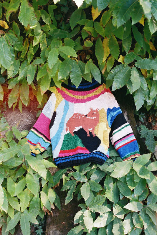 SWEATER PUDU COLORES