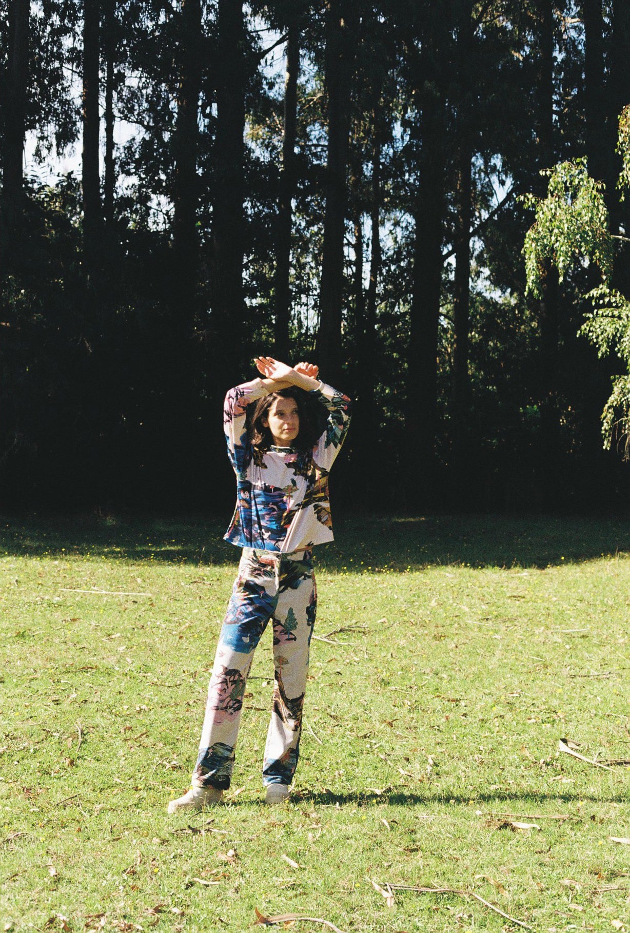 POLERA TORTUGA PAISAJE DIA