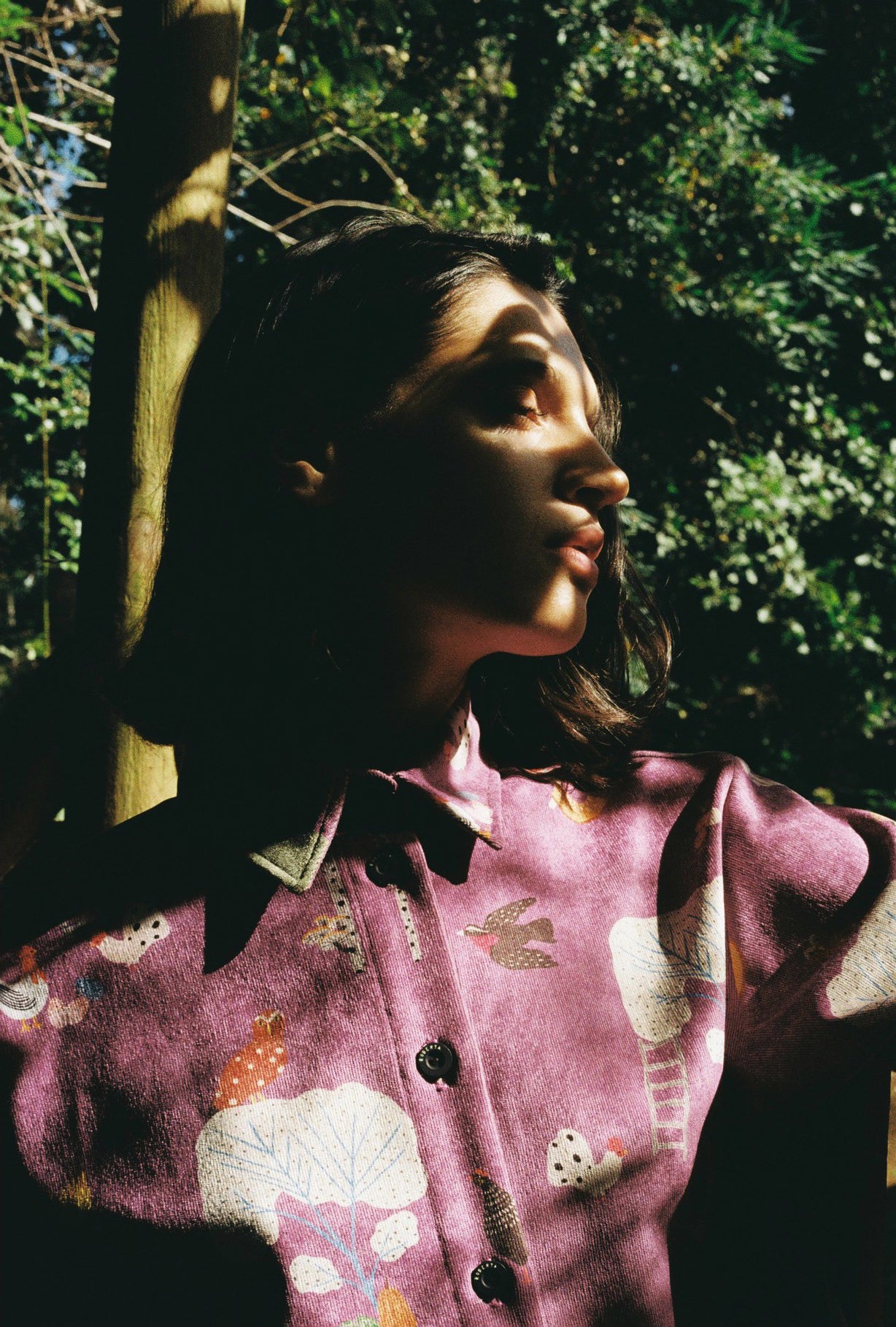 CAMISA DORA COTELE AVES FRAMBUESA