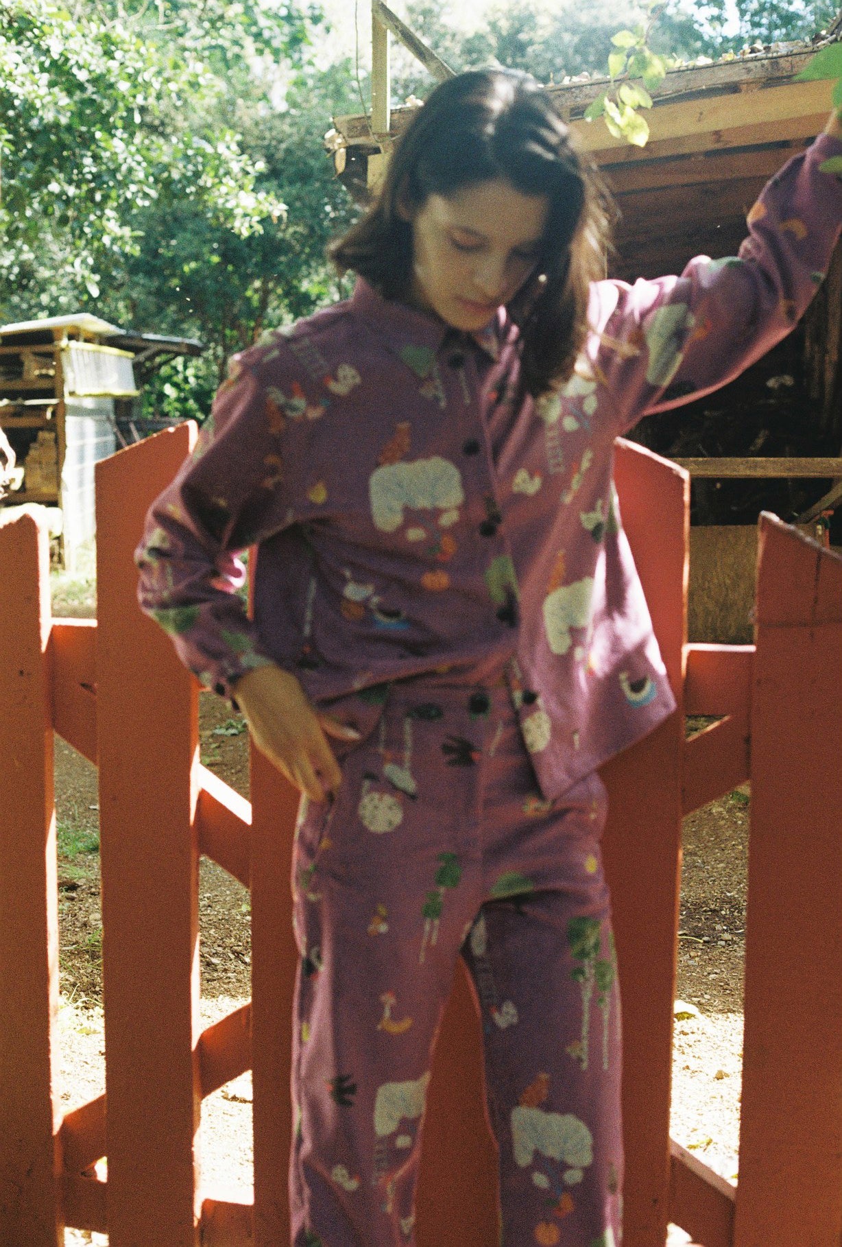 CAMISA DORA COTELE AVES FRAMBUESA