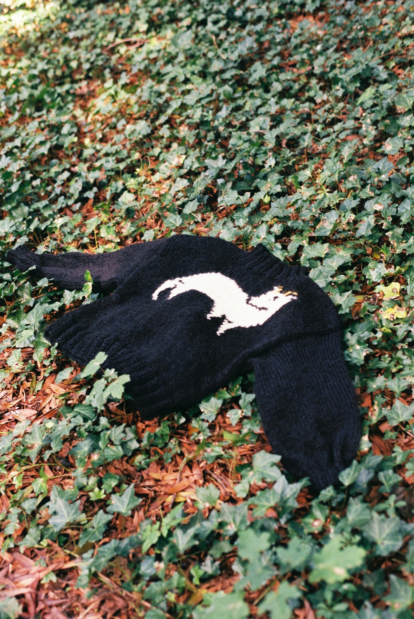 SWEATER PUDU ALBINO CORTO