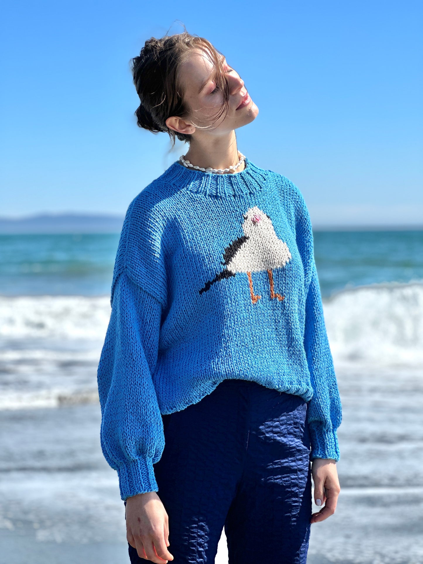 SWEATER GAVIOTA