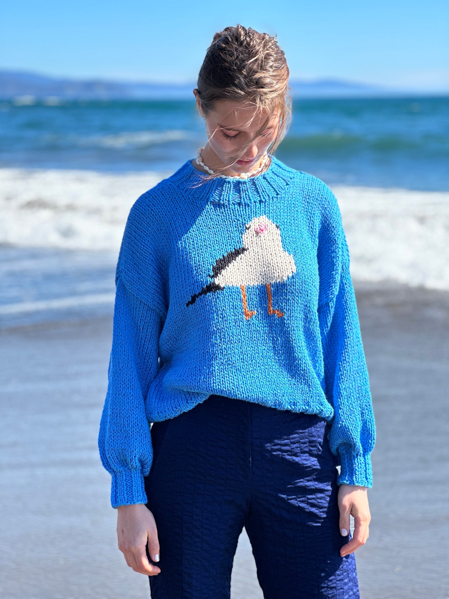 SWEATER GAVIOTA