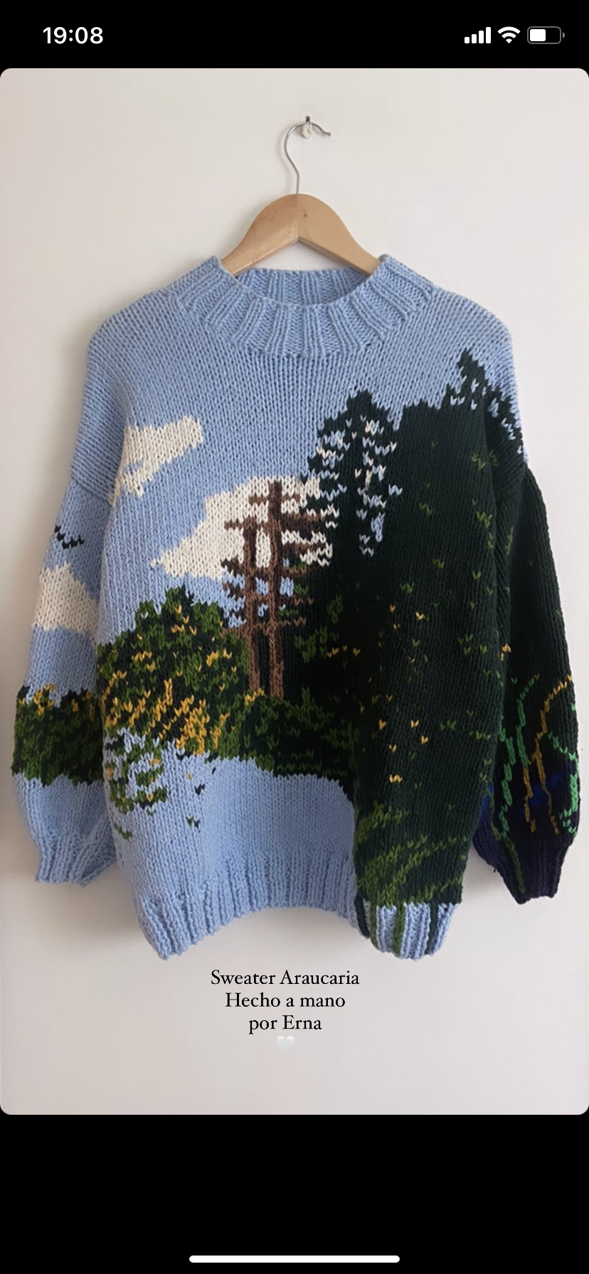 SWEATER ARAUCARIA LARGO