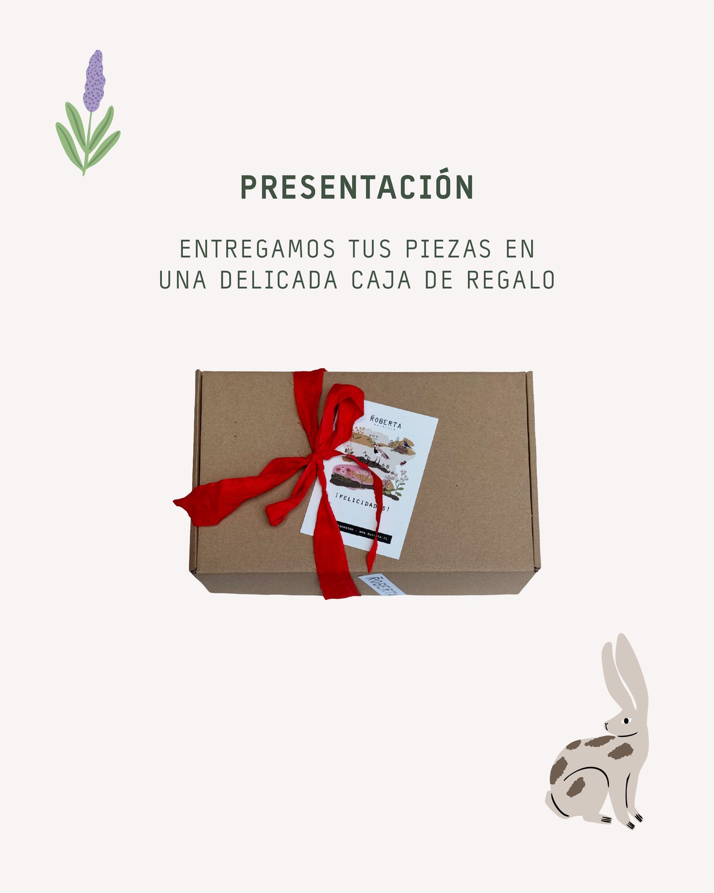 CAJA SET SCRUNCHIE + PAÑUELO ROBERTA