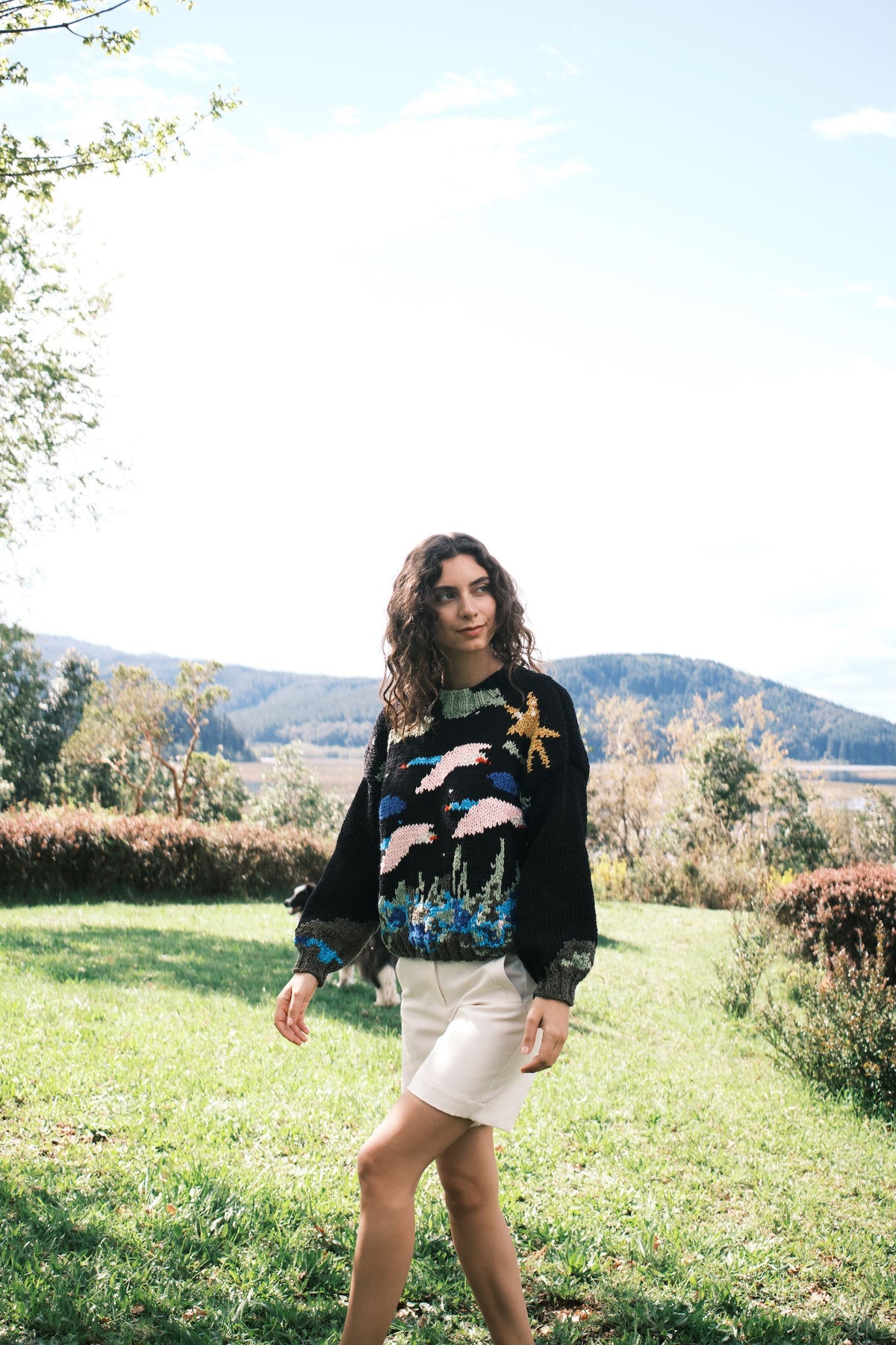 SWEATER BANDADA CISNES NOCHE