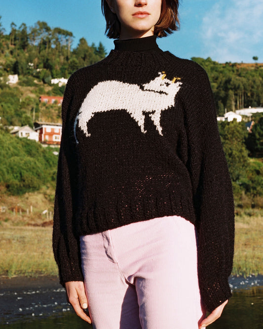 SWEATER PUDU ALBINO CORTO
