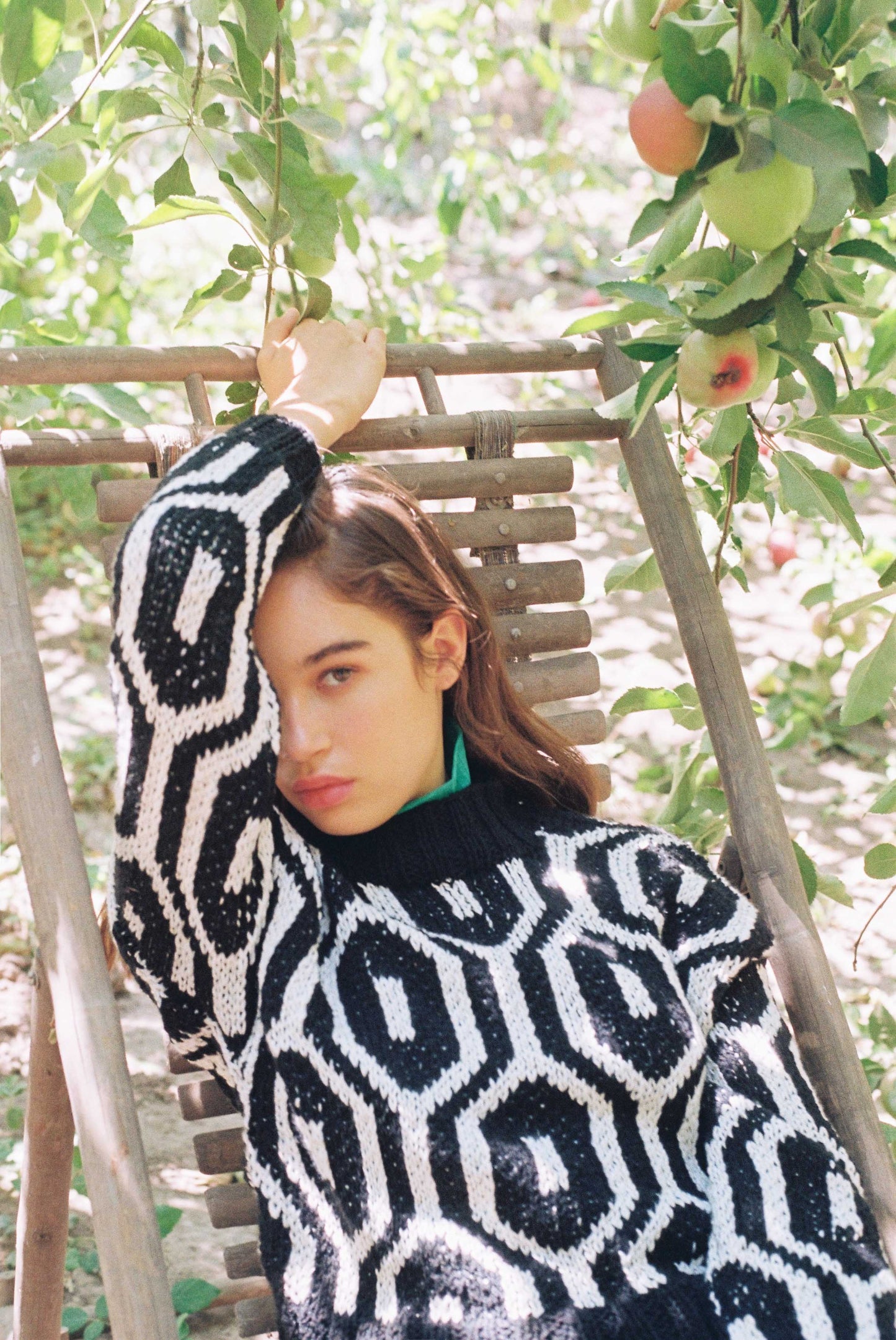 SWEATER CAMINOS