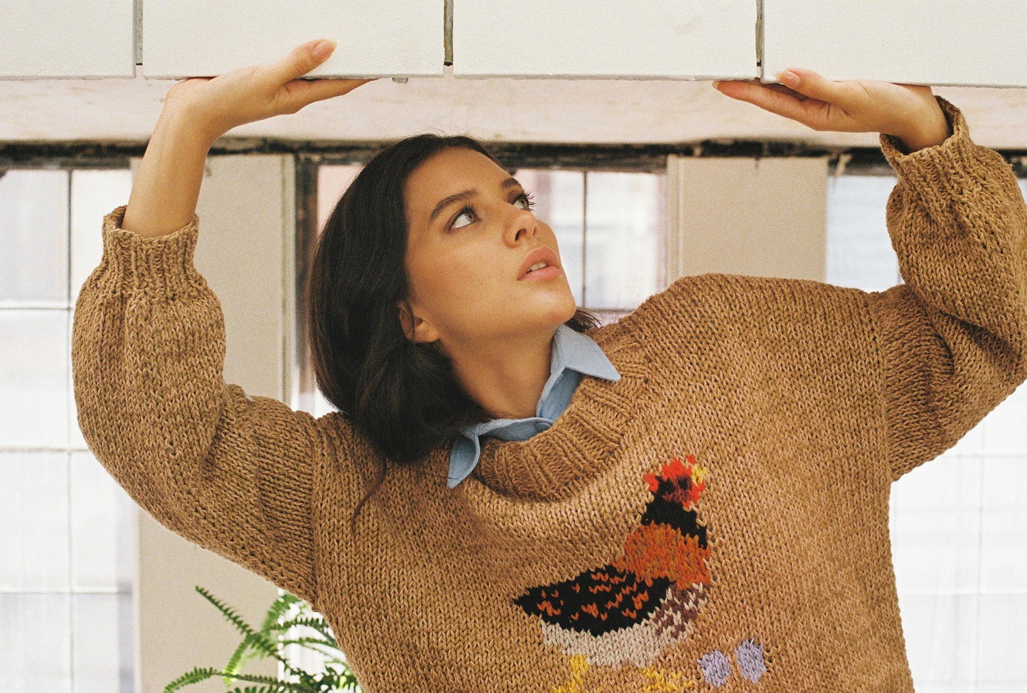 SWEATER GALLINA KOLLONKA