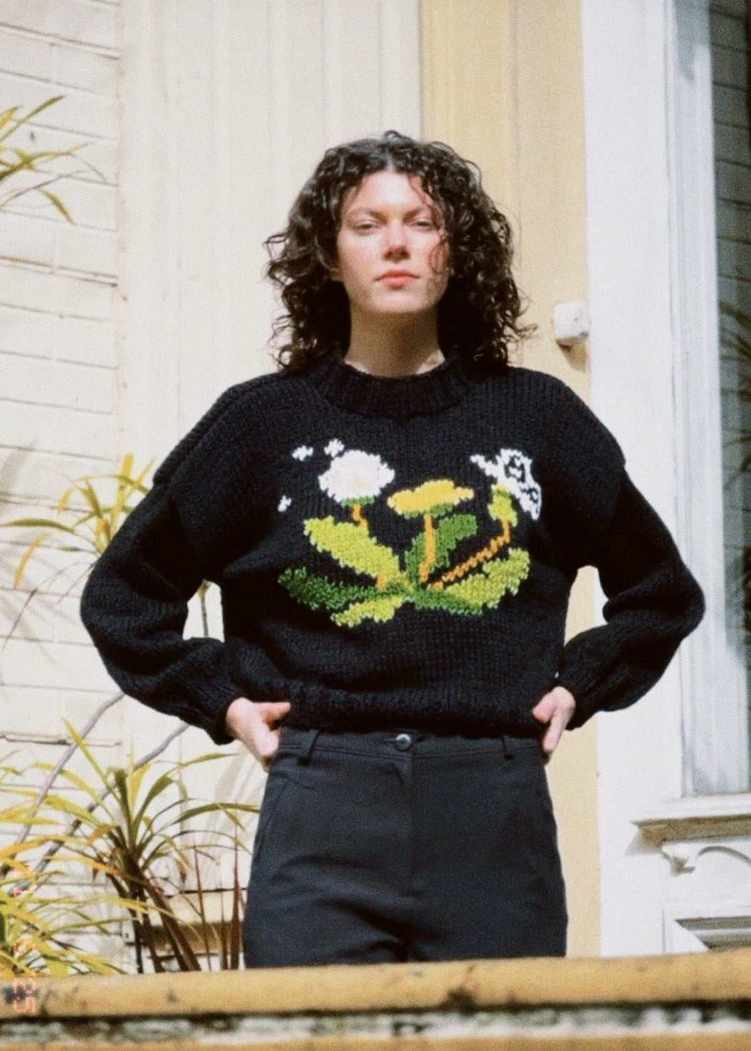 SWEATER DIENTE DE LEON