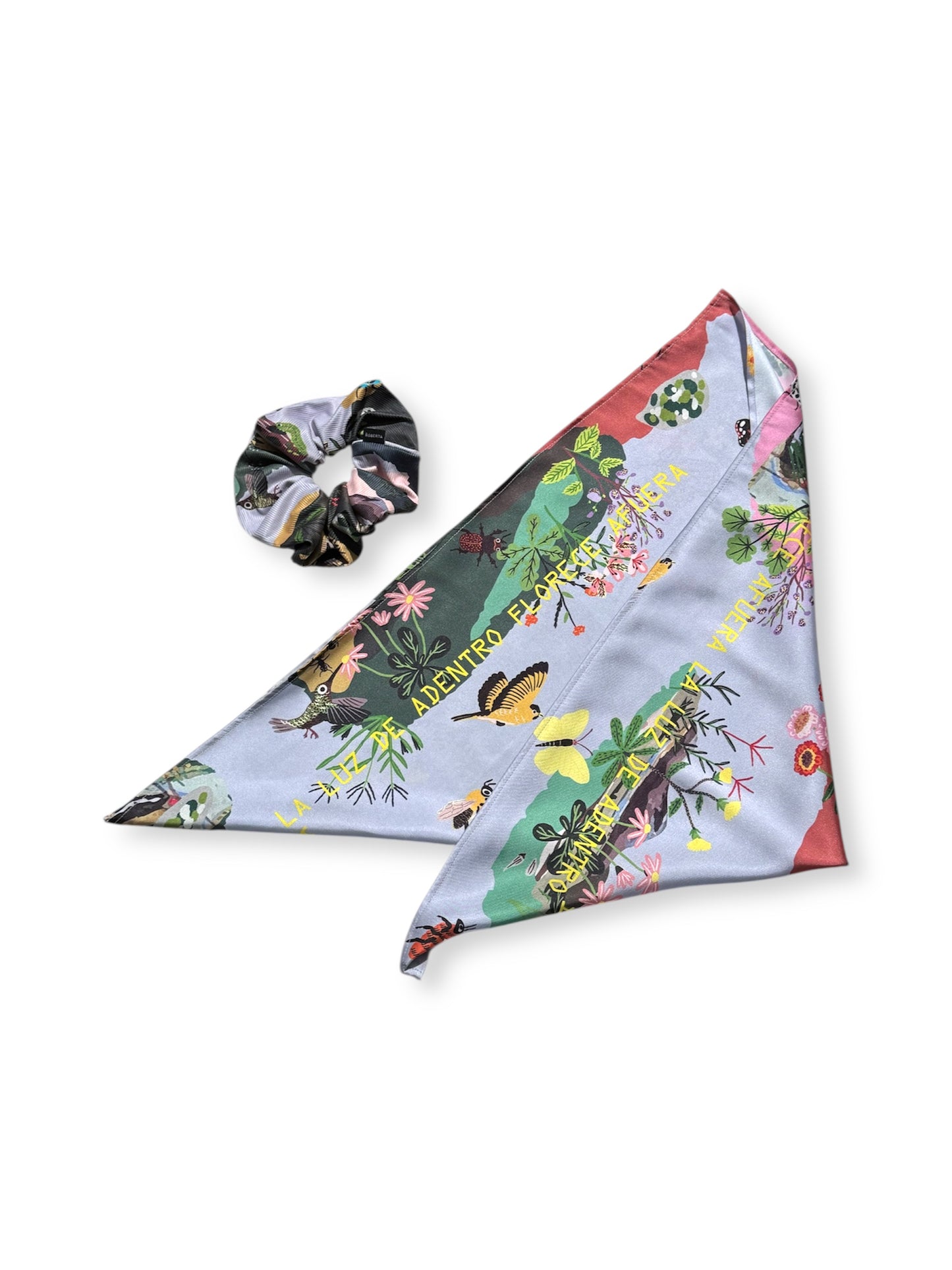 CAJA SET CAMPO TARDE