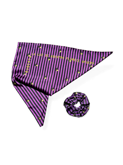 CAJA SET RAYAS FLORES