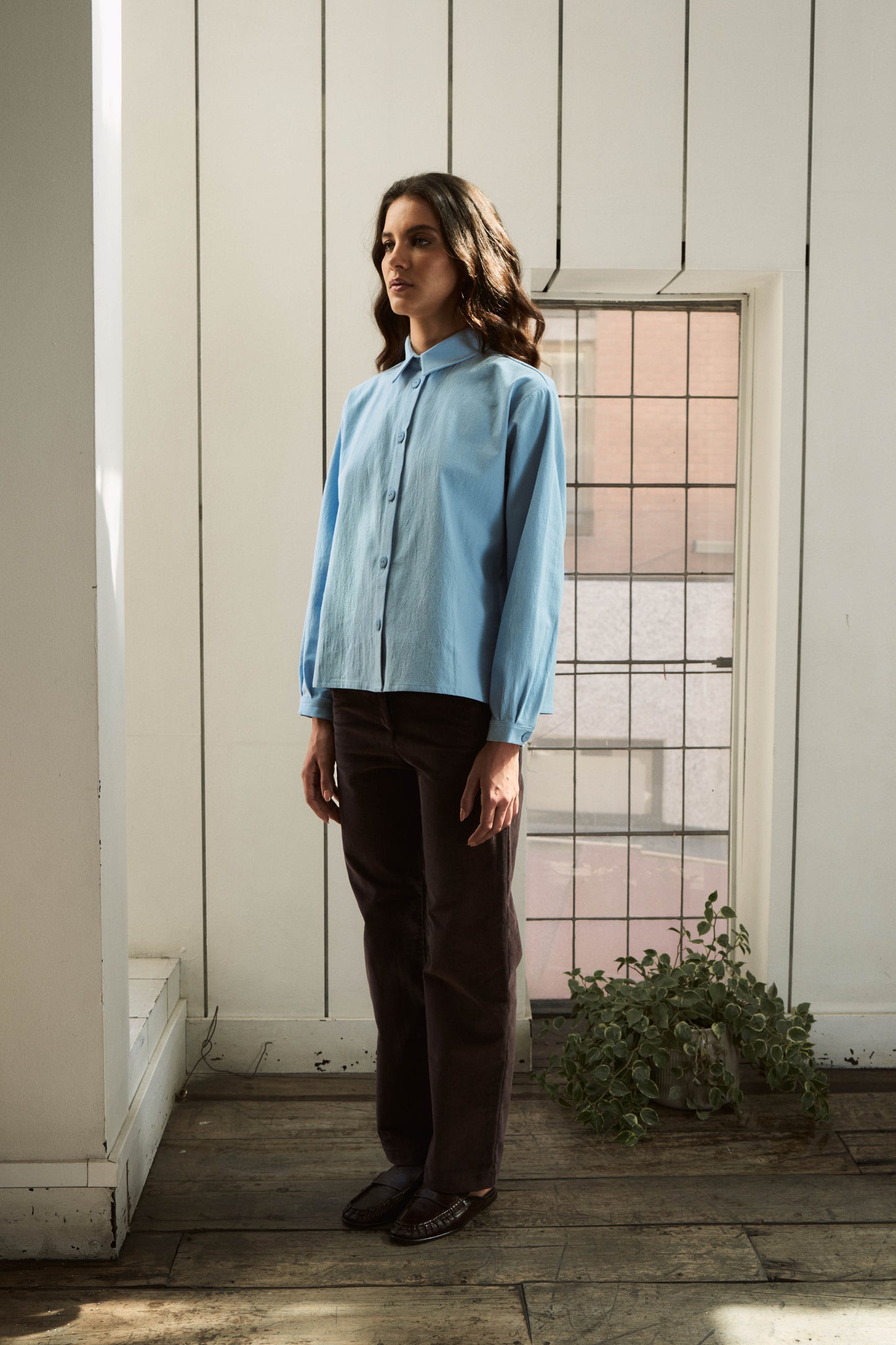 CAMISA DORA ALGODÓN CELESTE